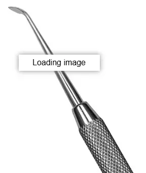 Capture d'écran 2025-03-27 154408.webp