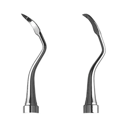 Capture d'écran 2025-03-27 162653.webp