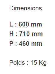 Lave-mains d’hygiène Electronique 600X710X460 mm