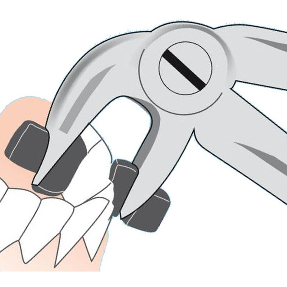CROWN AND BRIDGES PLIER - LOWER (362220) CORICAMA  - Delynov