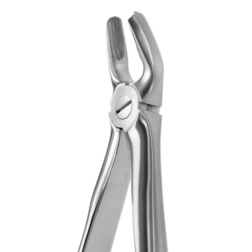 Davier, forceps, lame, becs N.18 (612260), CORICAMA - Delynov translates to Dental Surgery Instruments Set in US English.