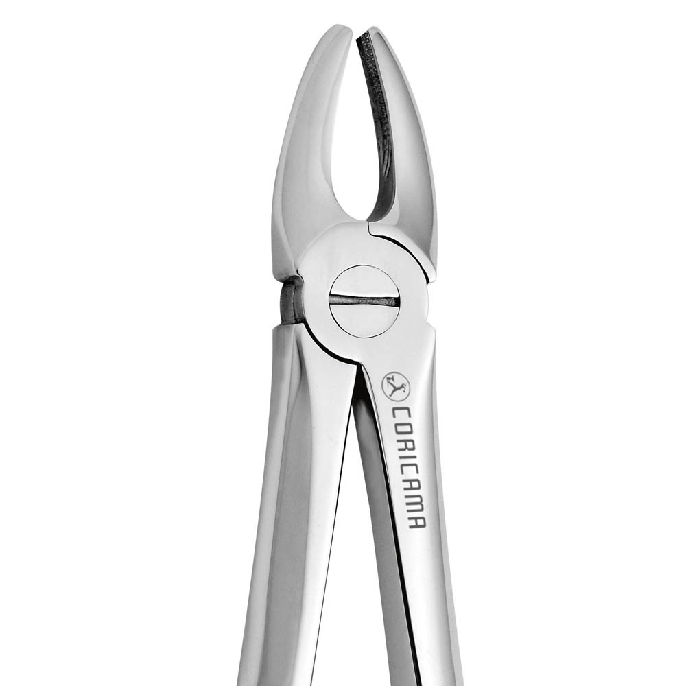 Dental Extraction Forceps No. 1 (625110) by CORICAMA - Delynov