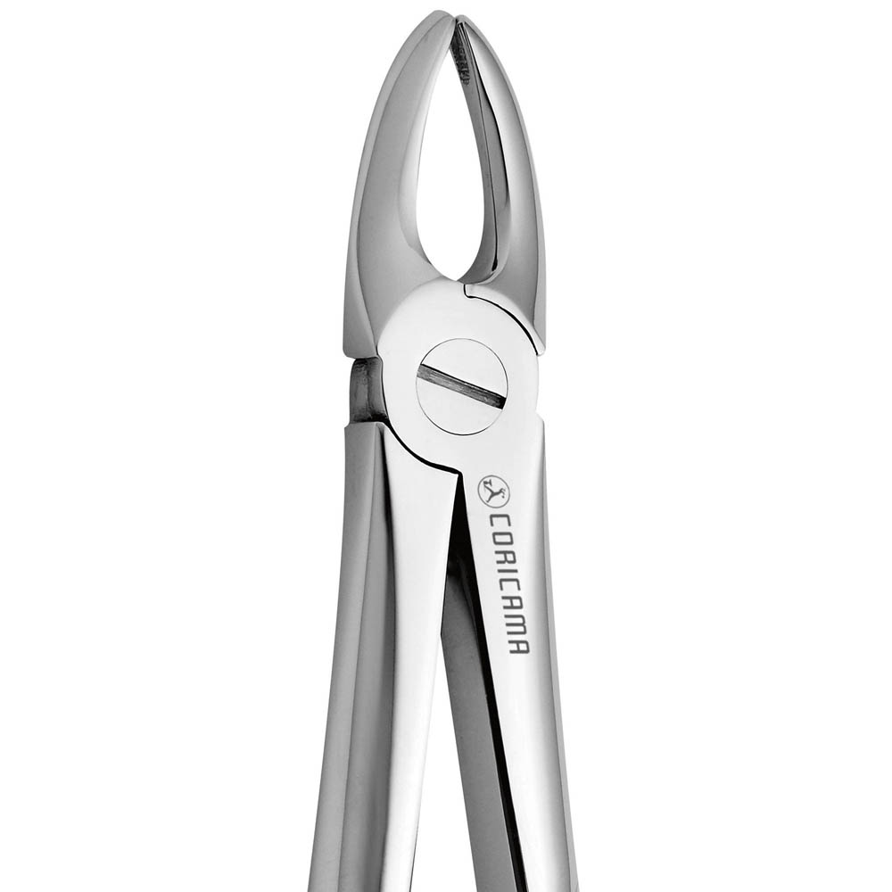 Davier N. 3 (625130) Coricama - Delynov - Instrument pour chirurgie dentaire et implantologie