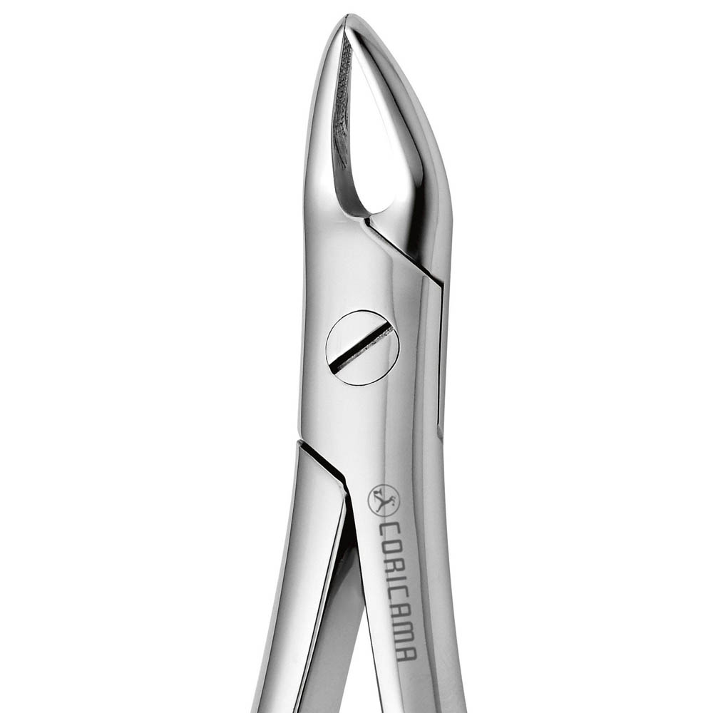 Dental Extracting Forceps No. 76 (625560) by CORICAMA - Delynov