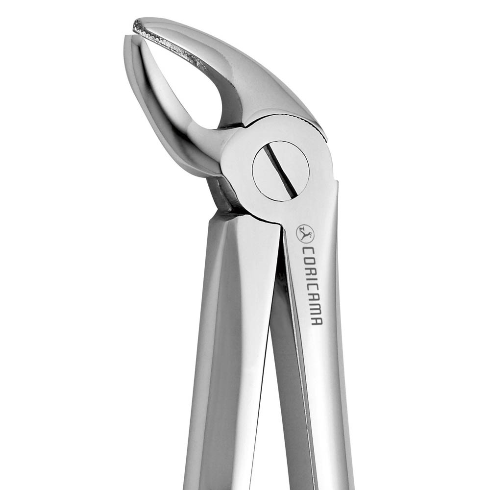 Davier N. 4 (625610) Coricama - Delynov - Instrument pour chirurgie dentaire et implantologie