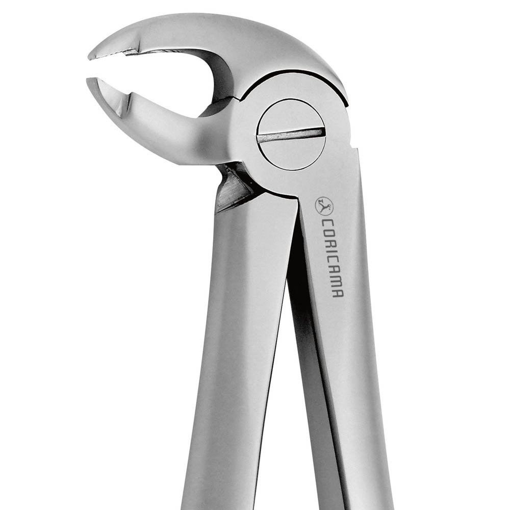 Davier N.182 (625650) Coricama - Delynov - Instrument pour chirurgie dentaire et implantologie