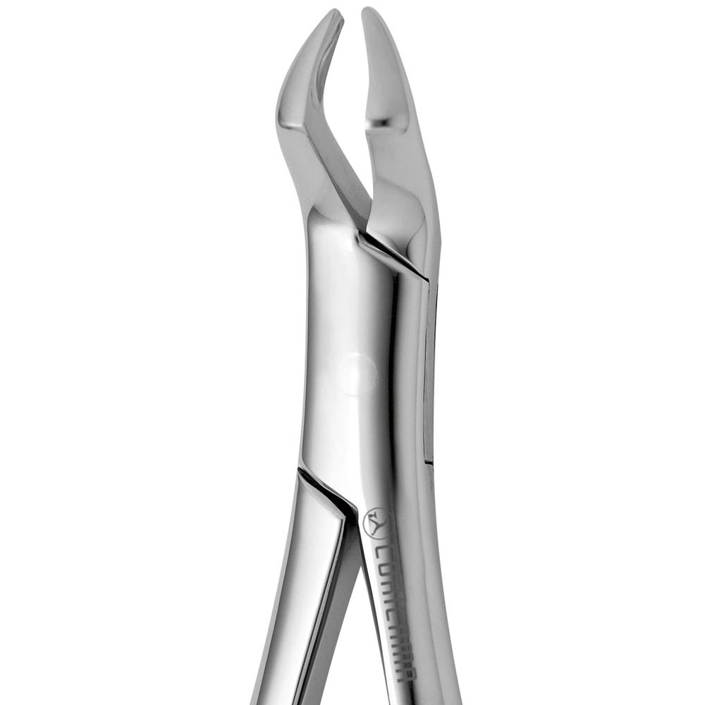American Dental Extraction Forceps N.210 (632330) by CORICAMA - Delynov brand