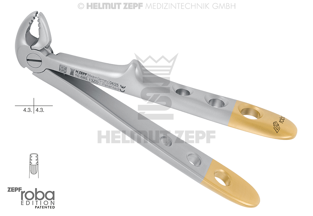 Forceps chirurgical à extraction pour enfants, modèle Anglais, figure 13, design Roba - Helmut Zepf (10.685.13ZD) - Delynov