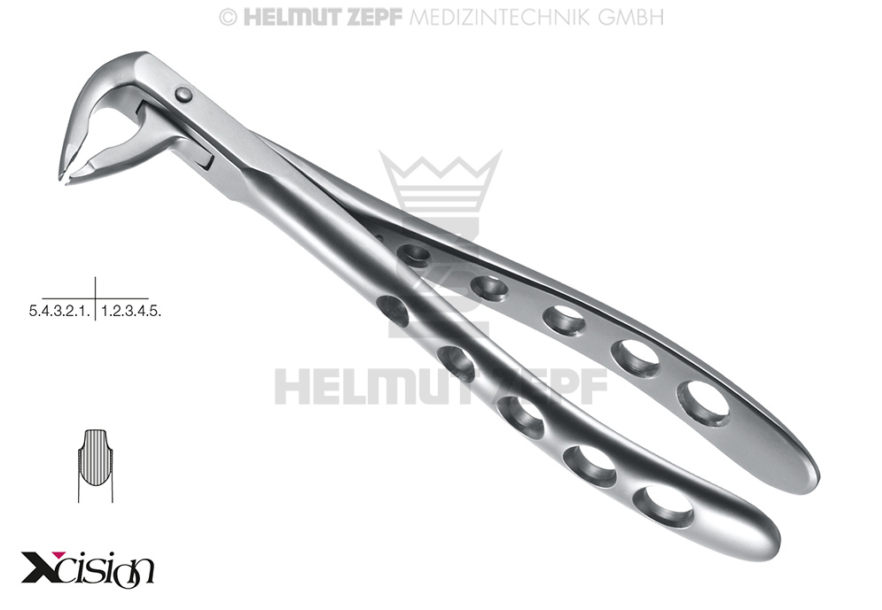 Davier chirurgical coudé à 36°, pour incisives inférieures - Helmut Zepf (12.036.01Z) - Delynov