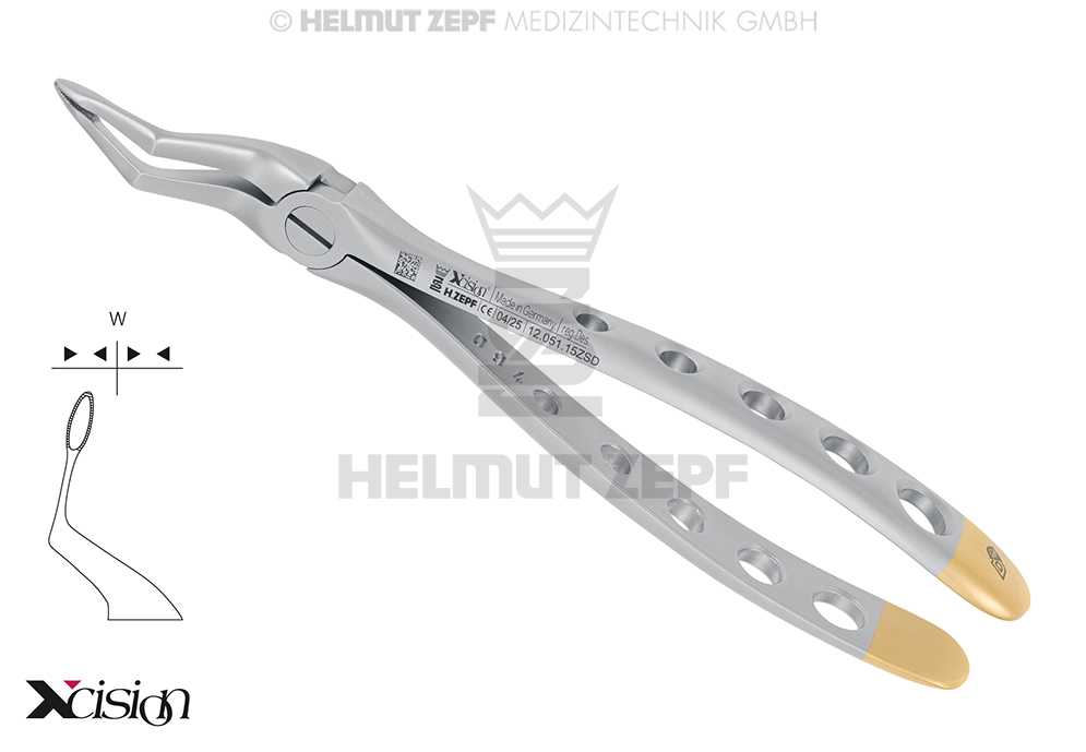 Forceps chirurgical pour extraction de racines dentaires supérieures, avec bords striés, figure 51-SB - Helmut Zepf (12.051.15ZSD) - Delynov