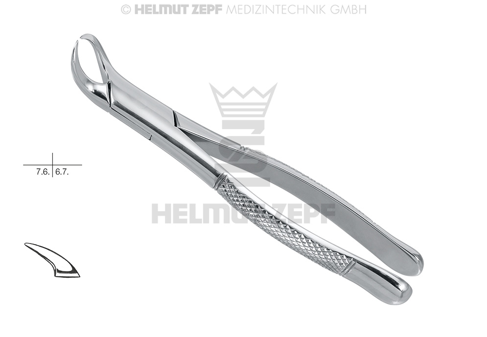 Dental surgery extraction forceps, American pattern, figure 23 - Helmut Zepf (14.023.50) - Delynov