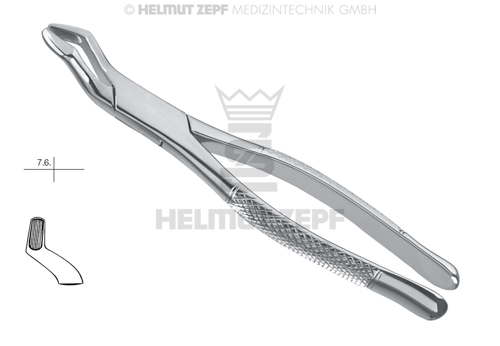 Anatomical surgical dental extraction forceps, American pattern FIG. 53-R - Helmut Zepf (14.053.16) - Delynov