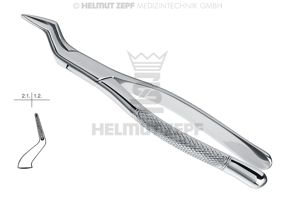 American pattern surgical dental extraction forceps, figure 65 - Helmut Zepf (14.065.00) - Delynov