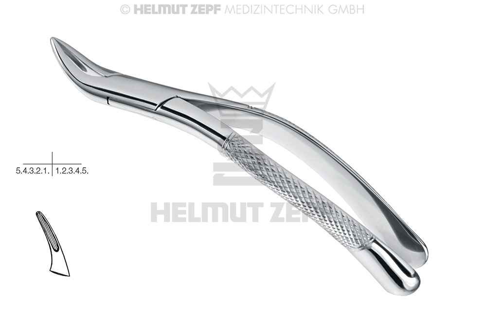 Davier chirurgical pour extraction dentaire, forme américaine type Fig. 69 - Helmut Zepf (14.069.00) - Delynov
