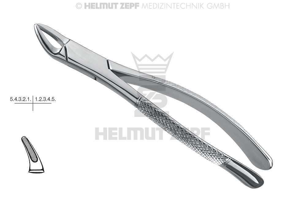 Davier chirurgical américain pour extractions dentaires, forme incisives et prémolaires, figure 150 - Helmut Zepf (14.150.00) - Delynov
