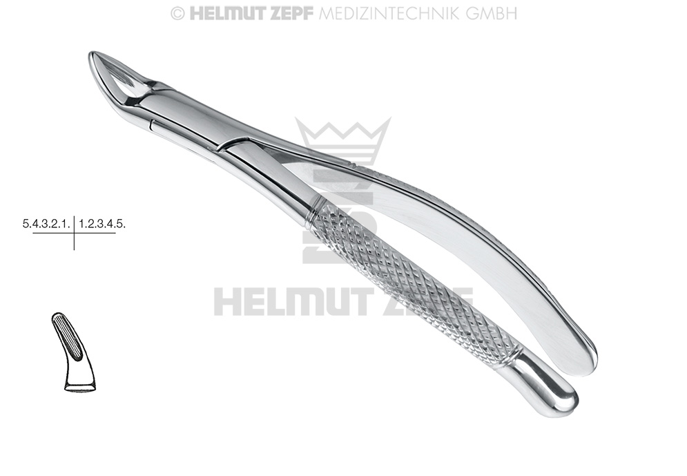CRYER, DENTAL EXTRACTION FORCEPS FOR CHILDREN, FIG. 150-S, AMERICAN PATTERN, - Helmut Zepf (14.150.05) - Delynov