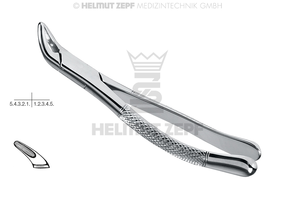 Davier chirurgical américain Fig. 151 pour extraction des incisives et prémolaires - Helmut Zepf (14.151.00) - Delynov