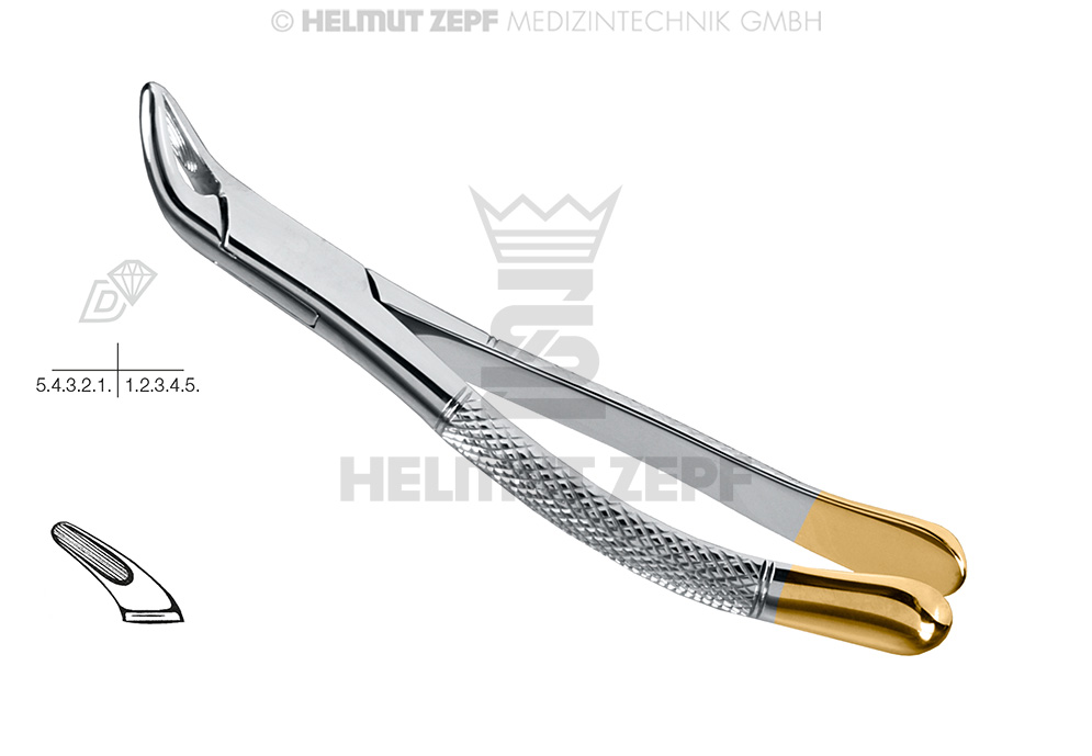 Cryer surgical dental extraction forceps, American pattern, figure 151, diamond-coated - Helmut Zepf (14.151.00D) - Delynov