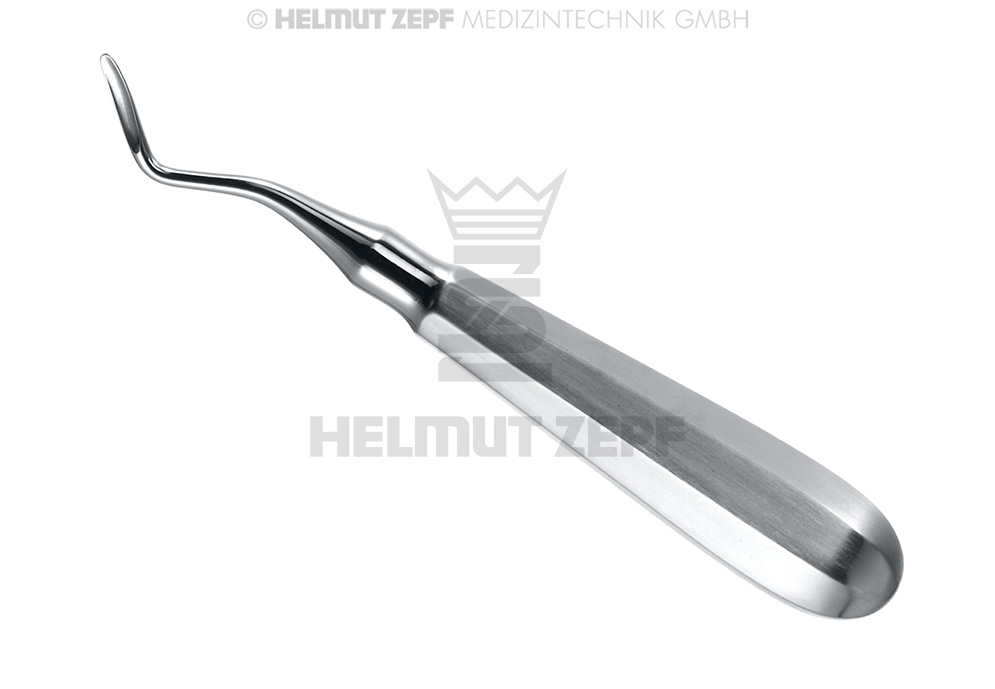 Élévateur de racines dentaires Flohr, courbé, figure 2 - Helmut Zepf (17.010.02) - Delynov