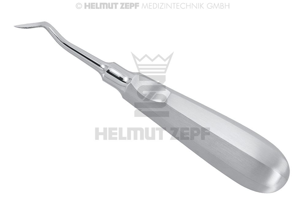 Surgical dental root elevator, straight, with standard handle - Helmut Zepf (17.191.00) - Delynov