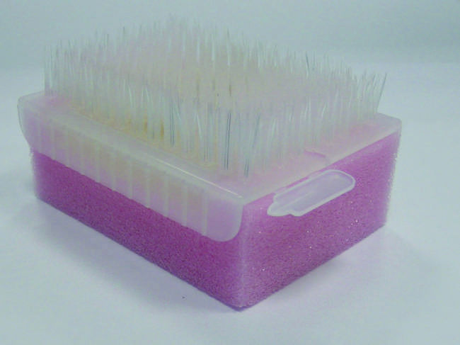 24 disposable sterile sponge-brushes - Omnia - Delynov