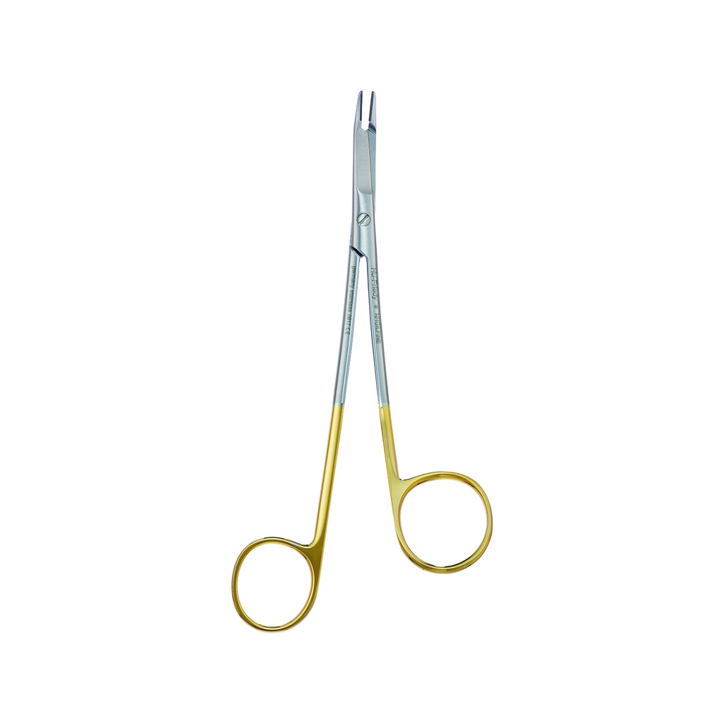 Endodontic Surgery File number 2 with curved handle number 41 - Hu-Friedy - Delynov