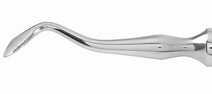 Elevator Vignal lancet shape n°3 - Acteon (149.03) - Delynov