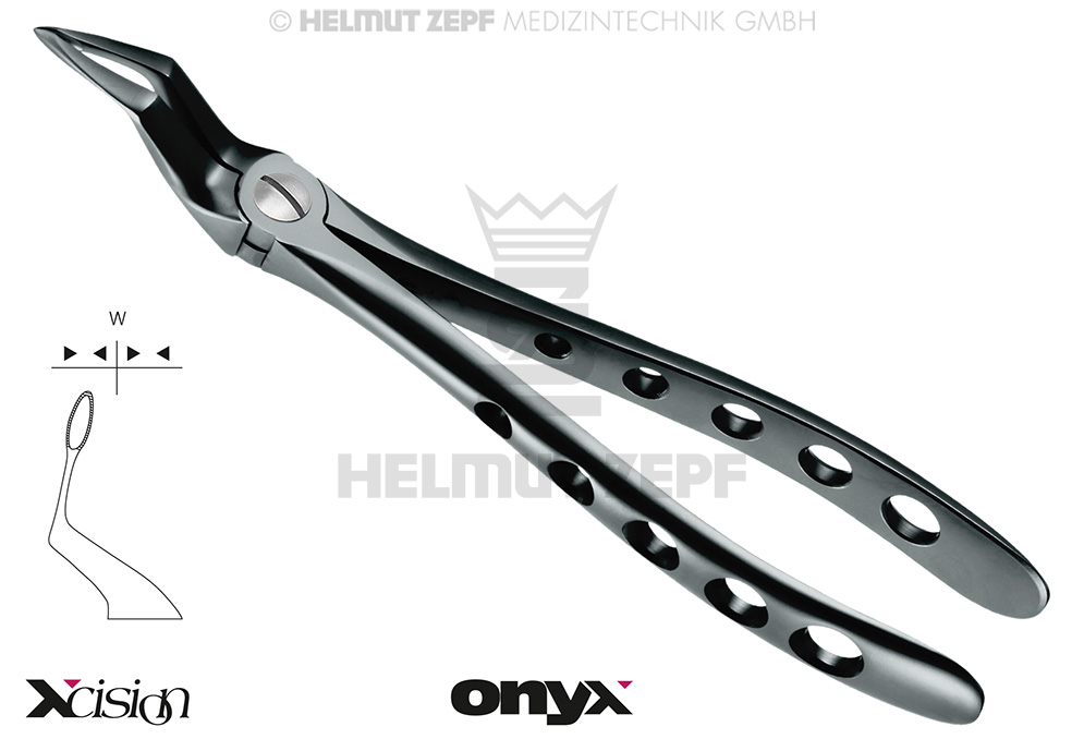 Racines supérieures - Helmut Zepf (12.051.15ZSTI) - Delynov