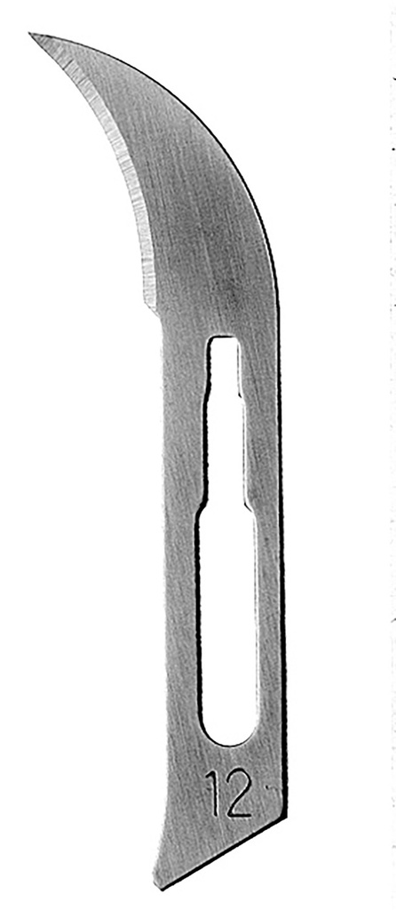 Lames de bistouri #12 100 Pc/Pct Date péremption (10-255-12) - Hu-Friedy - Delynov