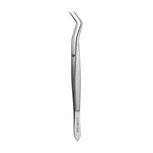 [162770] Precelle Meriam mm160 Lisse (162770) Coricama - Delynov