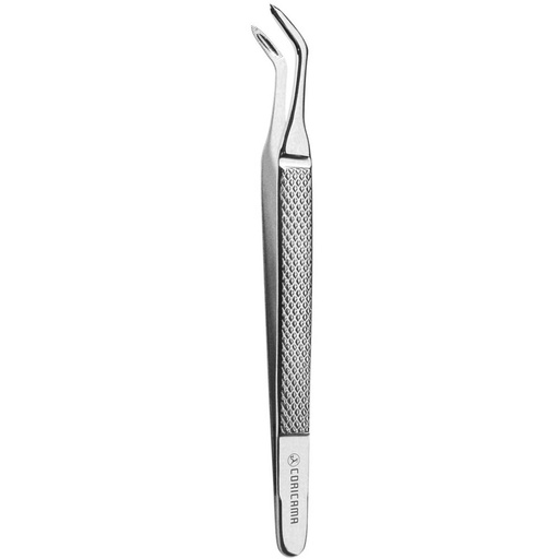 [648150] Precelle Albrecht Pointed (648150) Coricama - Delynov