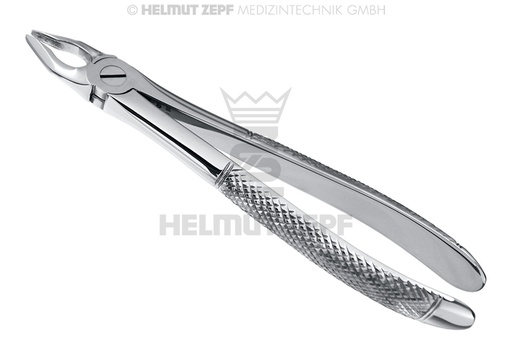 [10.002.90] English pattern surgical dental extraction forceps No. 2, for lateral incisors - Helmut Zepf (10.002.90) - Delynov