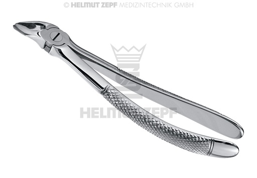 [10.007.90] English pattern dental extraction forceps for premolars, figure 7 - Helmut Zepf (10.007.90) - Delynov