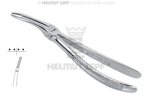 [10.044.07] Upper root dental extraction forceps, English pattern, figure 44-F - Helmut Zepf (10.044.07) - Delynov