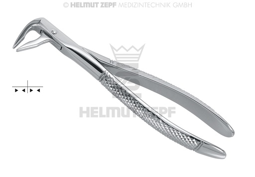 [10.074.91] English pattern surgical dental extraction forceps, for dental root extraction - Helmut Zepf (10.074.91) - Delynov