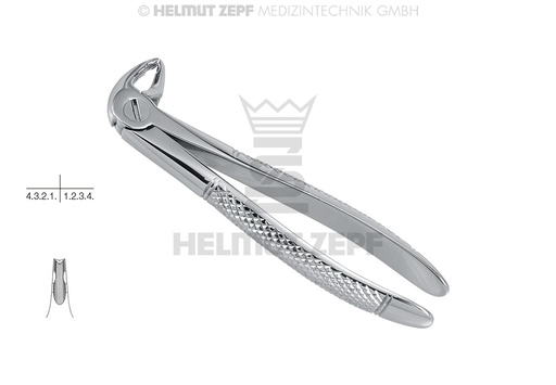 [10.633.09] Davier chirurgical pour enfant, forme anglaise, 13 cm - Helmut Zepf (10.633.09) - Delynov