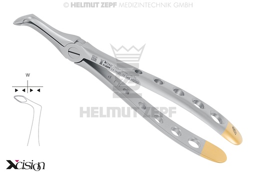 [12.045.15ZSD] Daviers d'extraction de racines dentaires pour la mandibule, modèle Helmut Zepf Fig. 45SB (12.045.15ZSD) - Delynov
