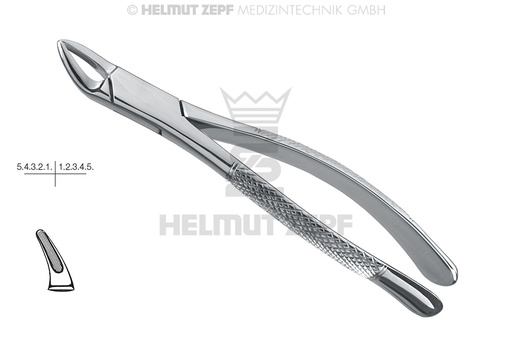 [14.150.00] American surgical dental extraction forceps, incisors and premolars pattern, figure 150 - Helmut Zepf (14.150.00) - Delynov