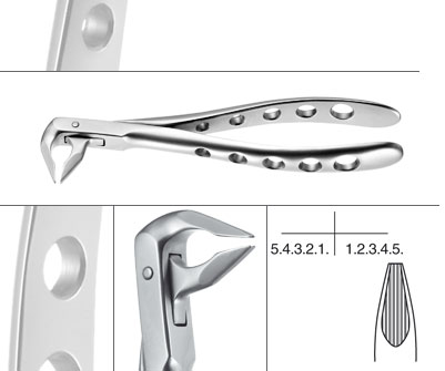 [12.036.07Z] ENGLISH PATTERN DENTAL EXTRACTION FORCEPS FIGURE 36N - Helmut Zepf dental extraction forceps (12.036.07Z) - Delynov