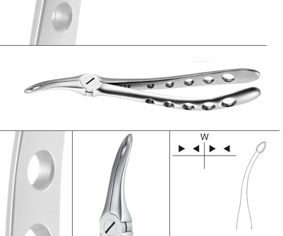 [12.044.15ZS] English pattern dental extraction forceps - Fig.44 - Helmut Zepf (12.044.15ZS) - Delynov -