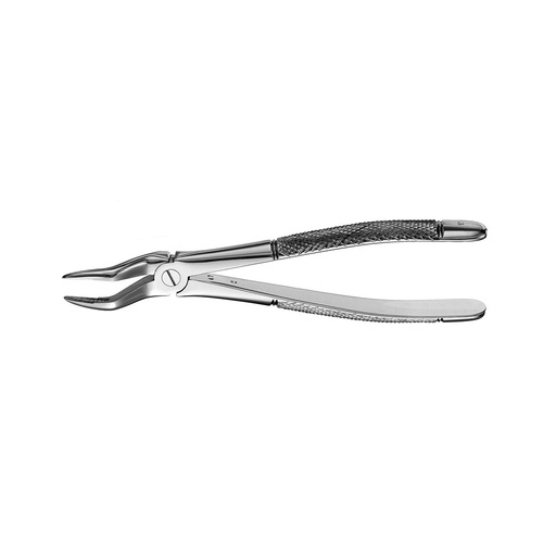[FX51] Number 51 Davier European Superior Root Extractor - Hu-Friedy - Delynov
