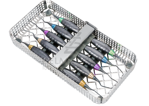 [24.989.55OX] PROPHYLAXIS KIT. Z-SHAPE RELAX HANDLE. INCLUDING: - Helmut Zepf (24.989.55OX) - Delynov