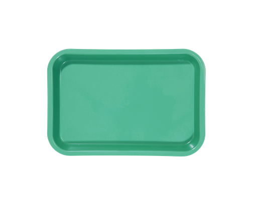 [20Z101D] Mini-plateau sans compartiments vert ZIRC Delynov 23,6 x 16,1 x 2,3 cm