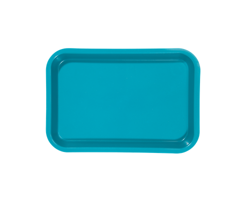 [20Z101J] Turquoise ZIRC Delynov Non-Compartmentalized Mini-Plateau (23.6 x 16.1 x 2.3 cm) - Product