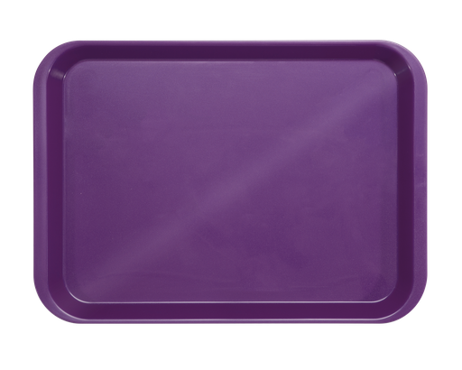 [20Z401E] Plateau B-Lok sans compartiments prune  (34,0 x 24,5 x 2,2 cm) - ZIRC - Delynov